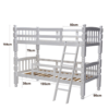 Vanilla Twin Wooden Bunk Bed
