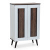 Ricky 2 Door Shoe Cabinet