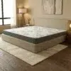 K-Ortho Premium Medical Mattress (Extra Firm Feel) – 5 Years Warranty