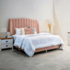 Knox Velvet Bed
