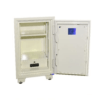 Good Will Safe Box Locker – 120KG Fire-Resistant Security Safe for Home & Office