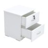 Brighton Side Table Drawers Storage Color (White)