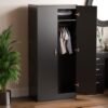 Trafford 2 Doors Wooden Wardrobe Color (Black)