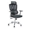 Ostano Mesh Office Chair Color (Grey/Black)