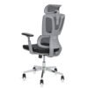 Ostano Mesh Office Chair Color (Grey/Black)