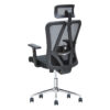 Charleston Mesh Office Chair Lumbar Support – Black