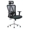 Charleston Mesh Office Chair Lumbar Support – Black