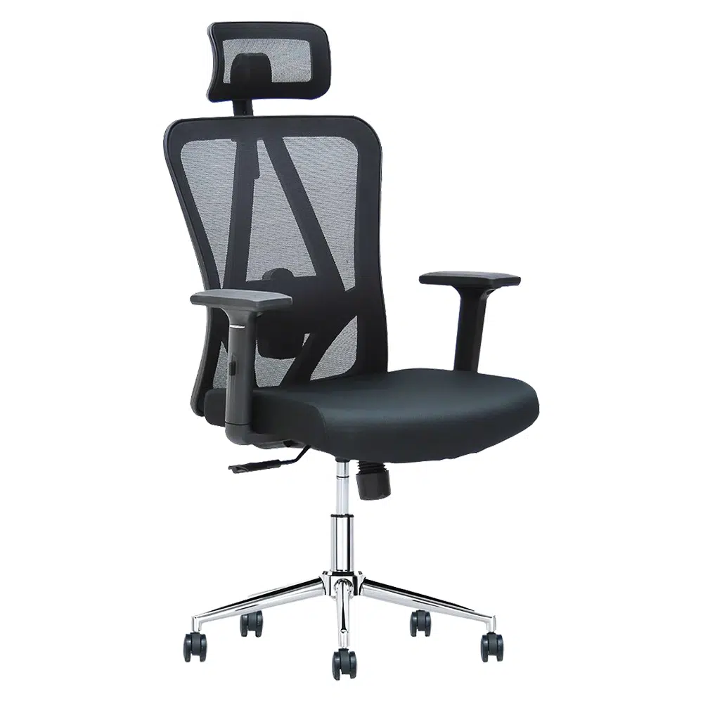 Charleston Mesh Office Chair Lumbar Support – Black
