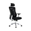 Executive Mesh Office Chair Headrest and Lumbar Support Comfortable High-Back Swivel 360 Black