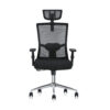 Tulip Mesh Office Chair Lumbar Support – Black