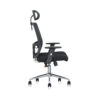 Tulip Mesh Office Chair Lumbar Support – Black