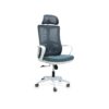 Ergonomic Mesh Office Desk Chair with Headrest,Handrest and Lumbar Support – Grey