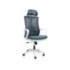 Ergonomic Mesh Office Desk Chair with Headrest,Handrest and Lumbar Support – Grey