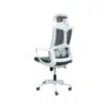 Ergonomic Mesh Office Desk Chair with Headrest,Handrest and Lumbar Support – Grey