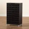 Modern Wooden Shoe Rack with Dustproof Cover – Wenge