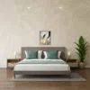 Remington Furniture Package
