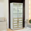 Redew Modern Wooden File Cabinet & Book Shelf Glass Door