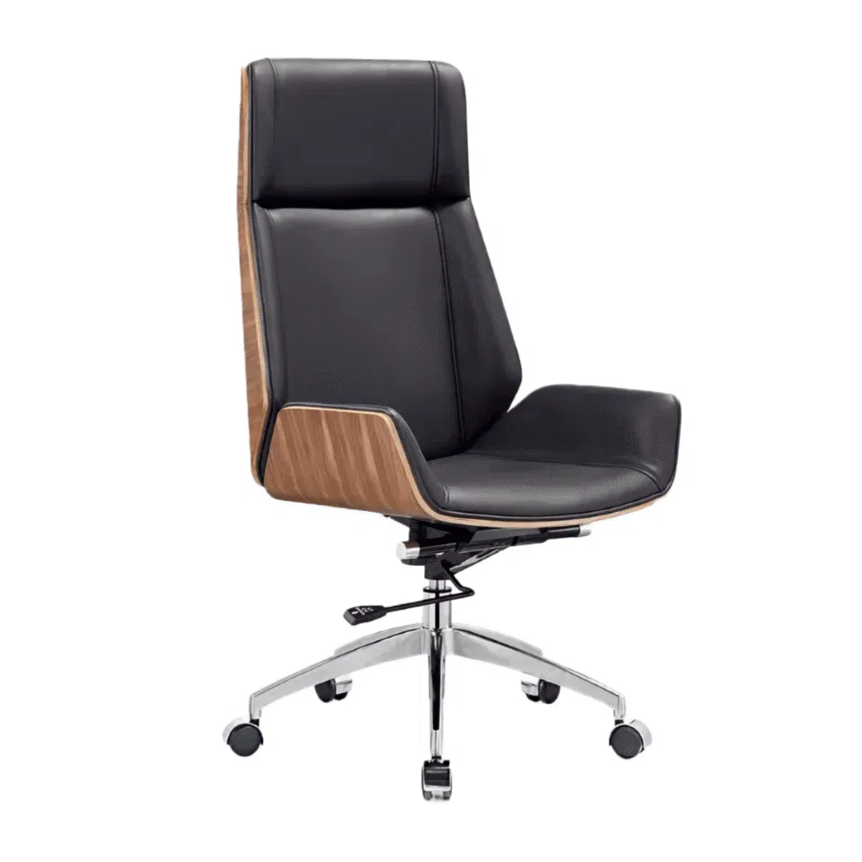 Kanova High Back Leather Chair