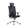 Spacio Ergonomic Mesh Chair High Back