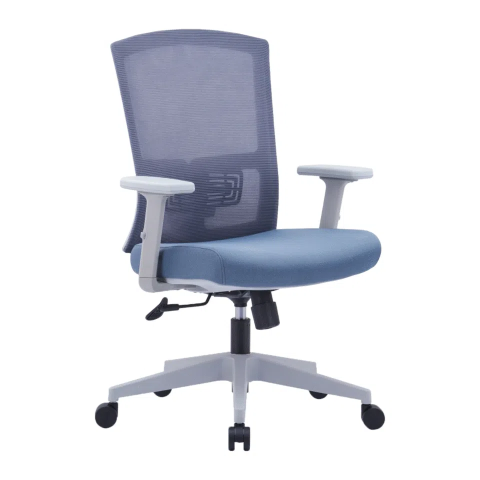 Drako Ergonomic Mesh Chair Medium Back…