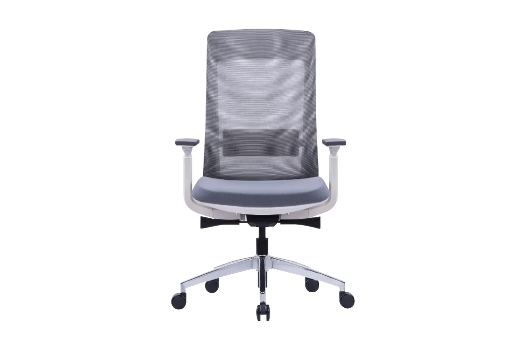 Markas Ergonomic Mesh Chair Medium Back
