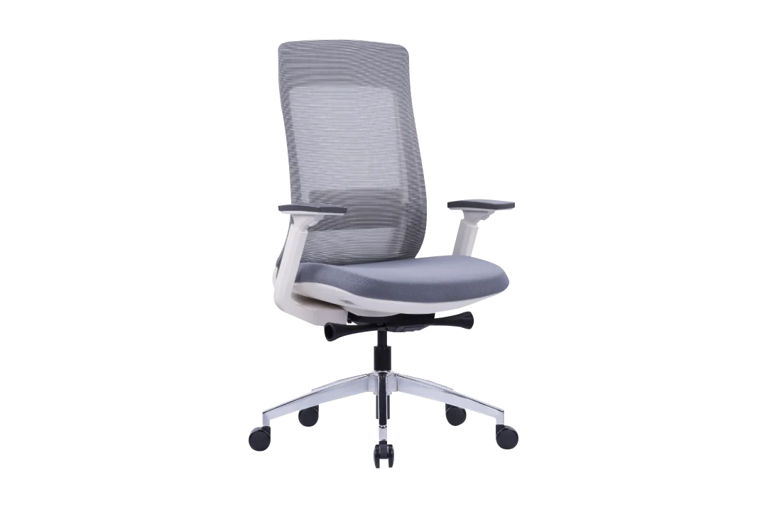 Markas Ergonomic Mesh Chair Medium Back