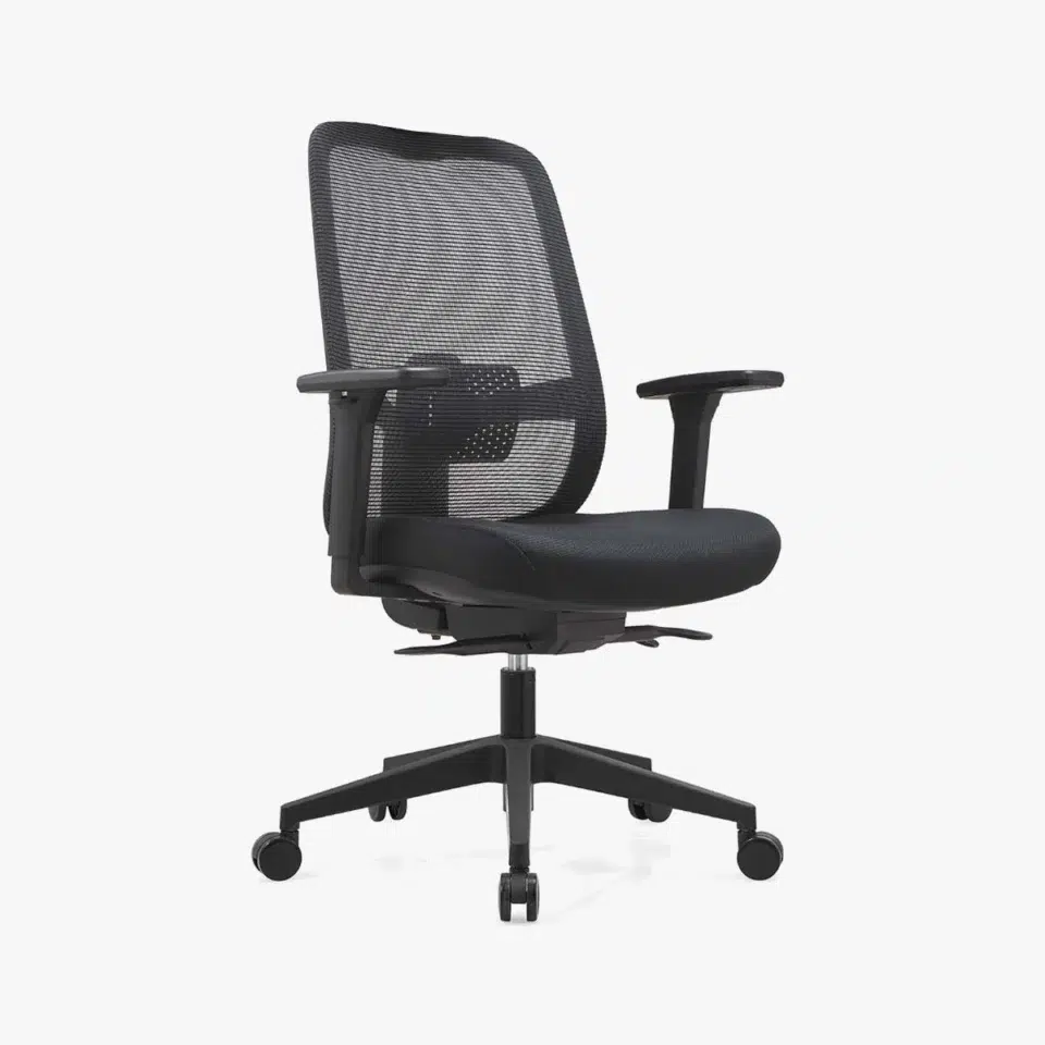 Percho Ergonomic Mesh Chair Medium Back…