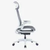 Ebersa Ergonomic High Back Chair