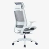 Ebersa Ergonomic High Back Chair