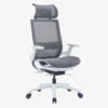 Ebersa Ergonomic High Back Chair