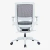 Ebersa Ergonomic Medium Back Chair