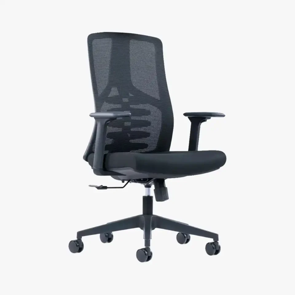 Ellan Ergonomic Mesh Chair Medium Back…