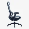 Elissa Ergonomic High Back Chair