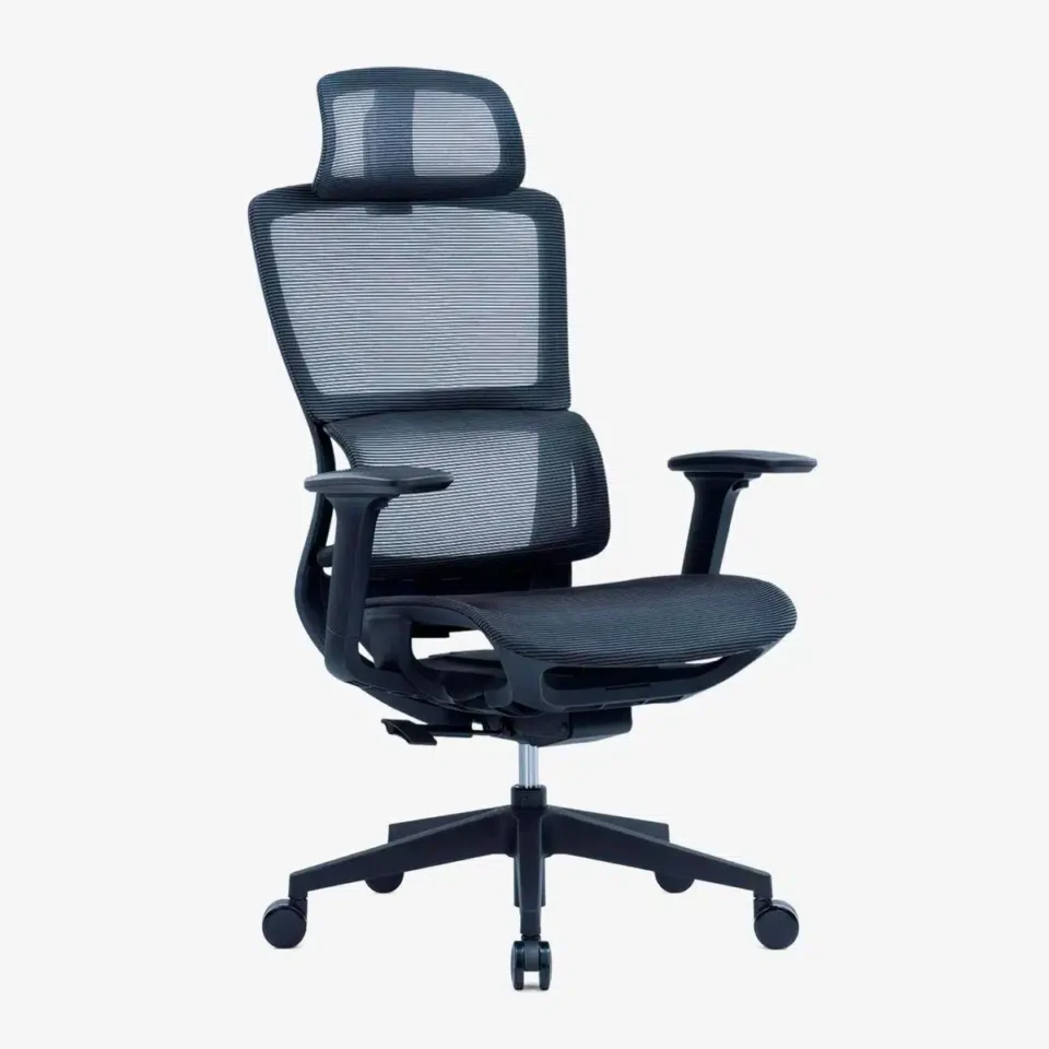 Elissa Ergonomic High Back Chair…