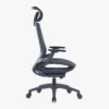 Eberva Ergonomic Mesh Chair High Back