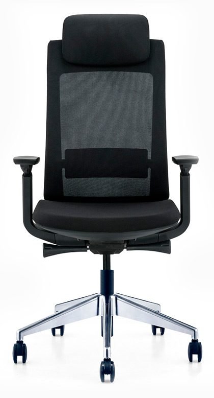 Molta Ergonomic Mesh Chair High Back
