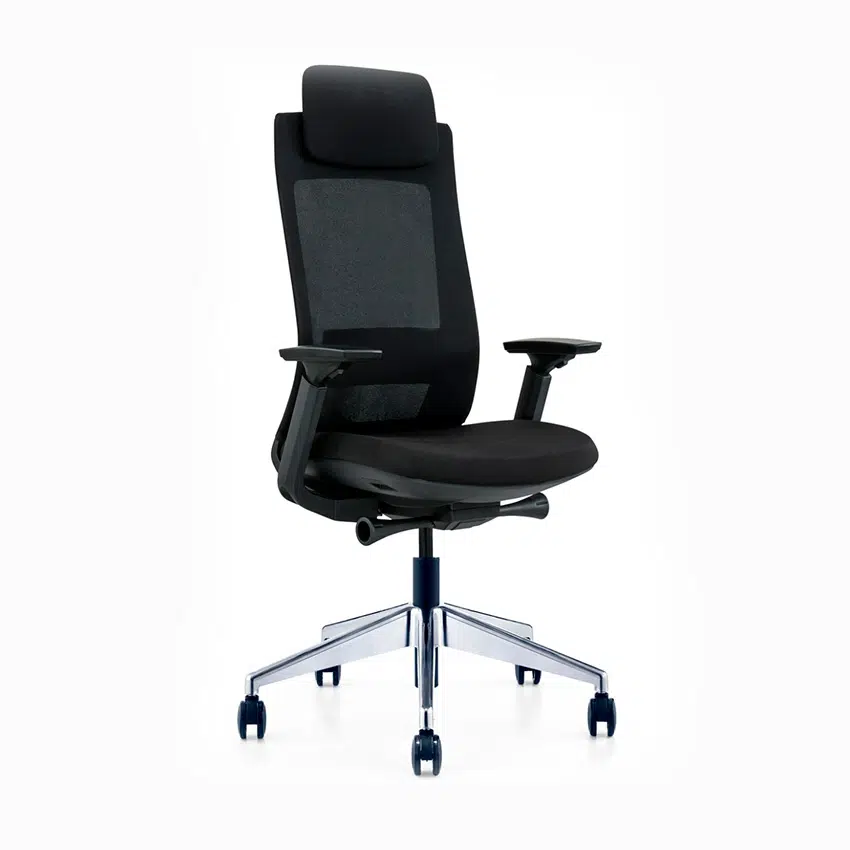 Molta Ergonomic Mesh Chair High Back…