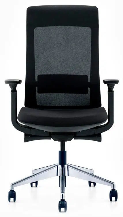 Molta Ergonomic Mesh Chair Medium Back