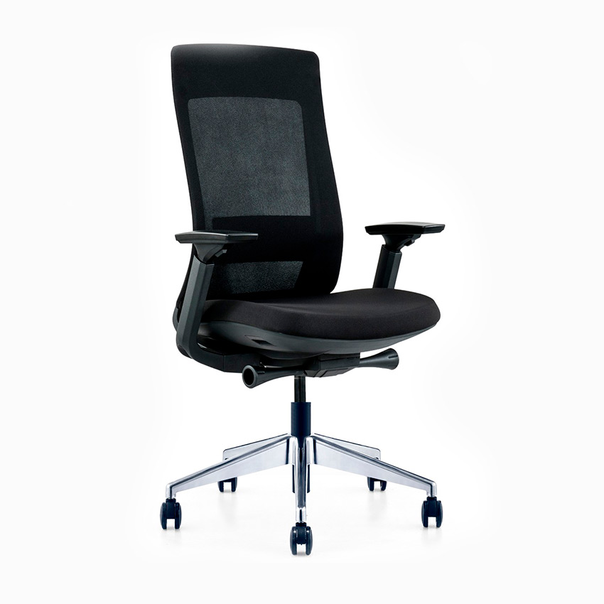 Molta Ergonomic Mesh Chair Medium Back