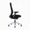 Molta Ergonomic Mesh Chair Medium Back