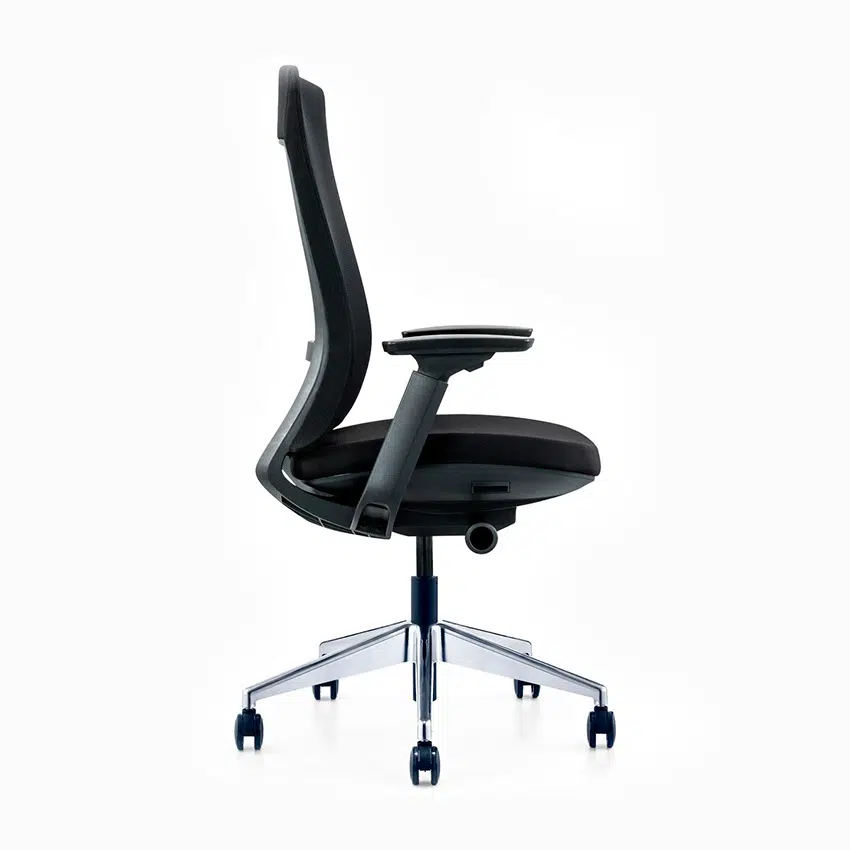 Molta Ergonomic Mesh Chair Medium Back