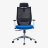 Visia Ergonomic Mesh Chair High Back