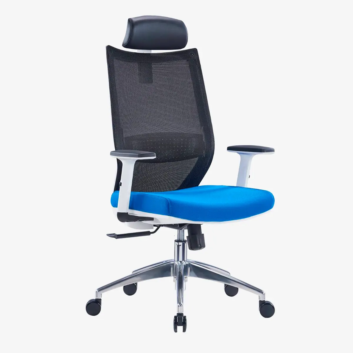 Visia Ergonomic Mesh Chair High Back