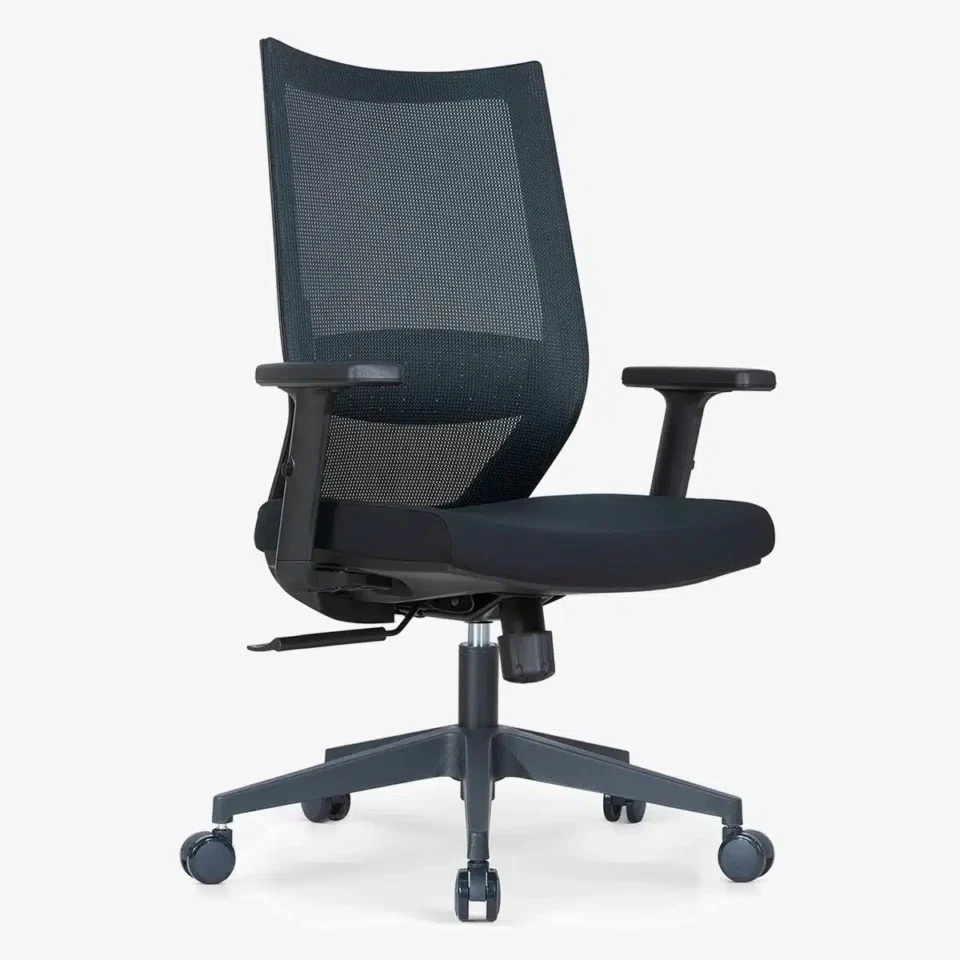 Vizion Ergonomic Mesh Chair Medium Back…