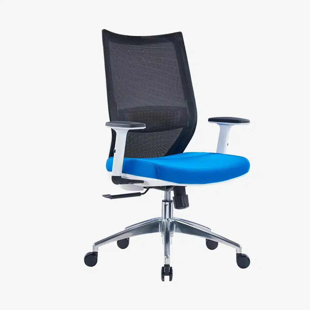 Visia Ergonomic Mesh Chair Medium Back