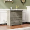 Egiro Chest of Drawer