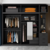 Iokip Glass Door Wardrobe