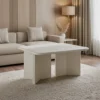 AstraEdge Modern Coffee Table