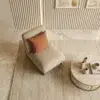 Cozy Modern Accent Chair