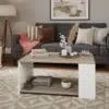 Duo Shelf Centre Table
